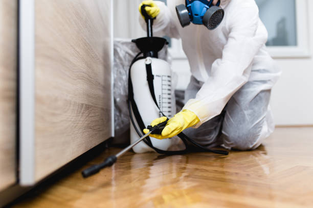 Best Flea Control Services  in Bonifay, FL