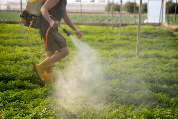 Best Best Pest Control Companies  in Bonifay, FL